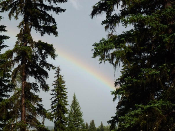 The Captain sending a message!