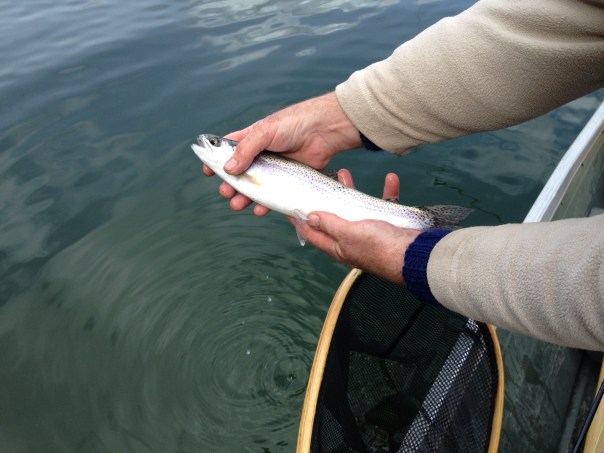 1st WSR Rainbow of 2015!