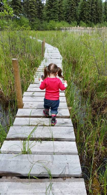 K follows the "Yellow Brick Road"!