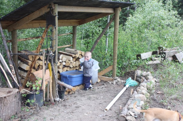 40EB52CD-E0AB-4967-9284-D07A13DB0117